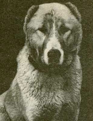 raksha2.jpg